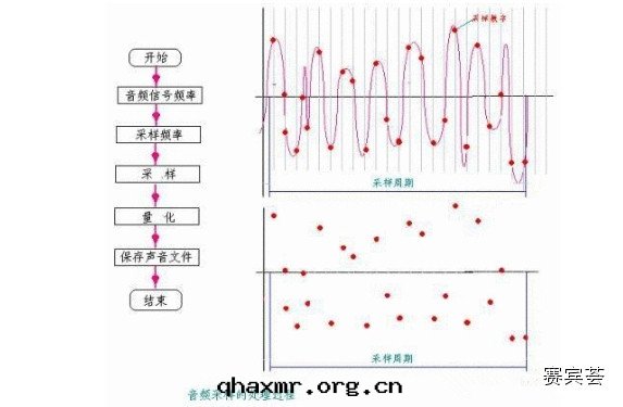 1647330829522940.jpg 5.jpg