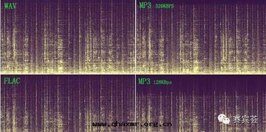 1647330879106541.jpg 9.jpg